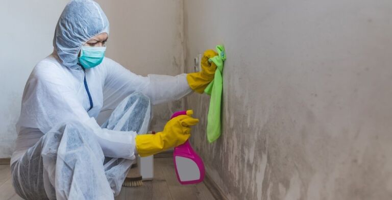 Mold Remediation 101: How to Safely Remove Mold and Protect Your Home