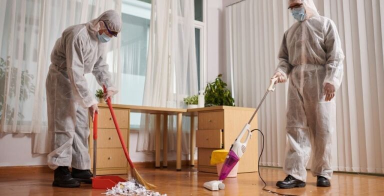 Hoarding Cleanup: Steps to Safely Restore Your Home and Health