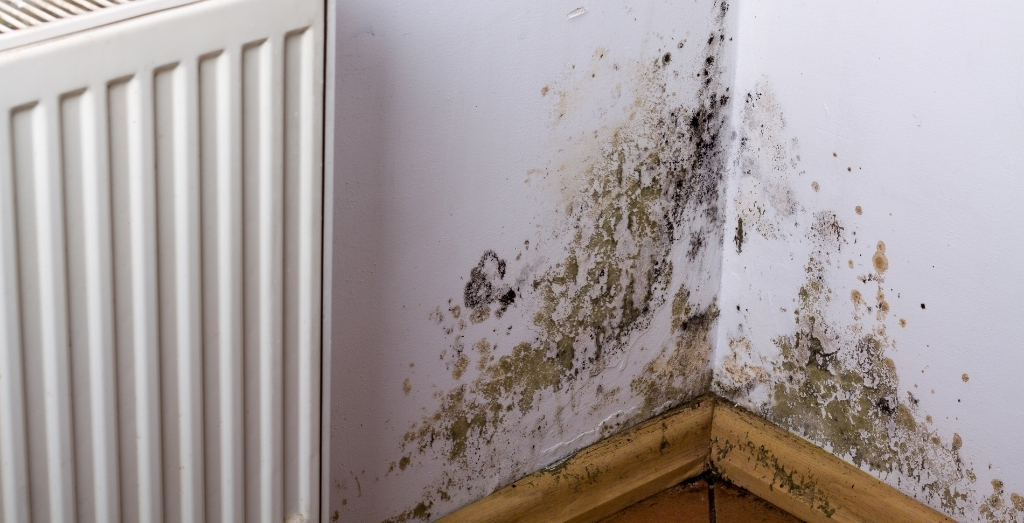 smoke damage remediation