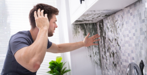 water damage mold Washington