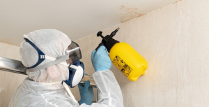 professional remediation