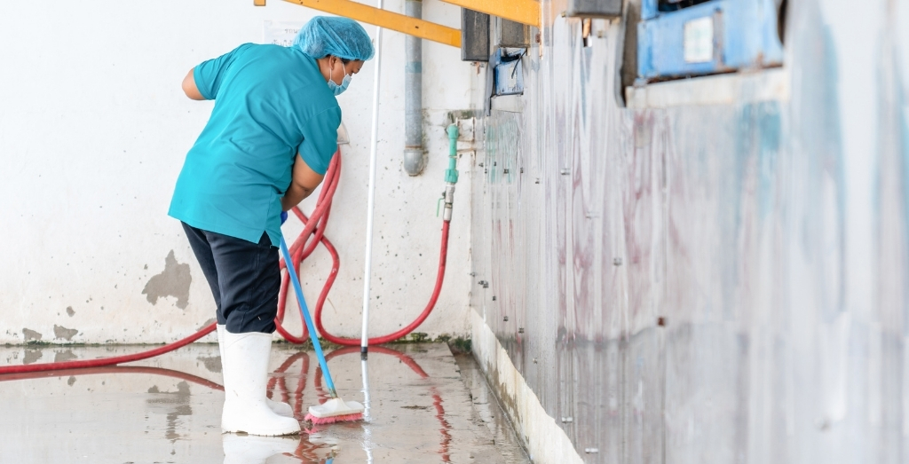 water damage restoration