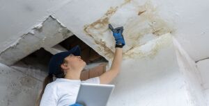 water damage remediation